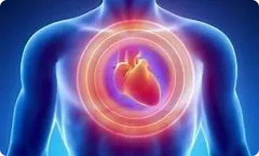 Heartnet